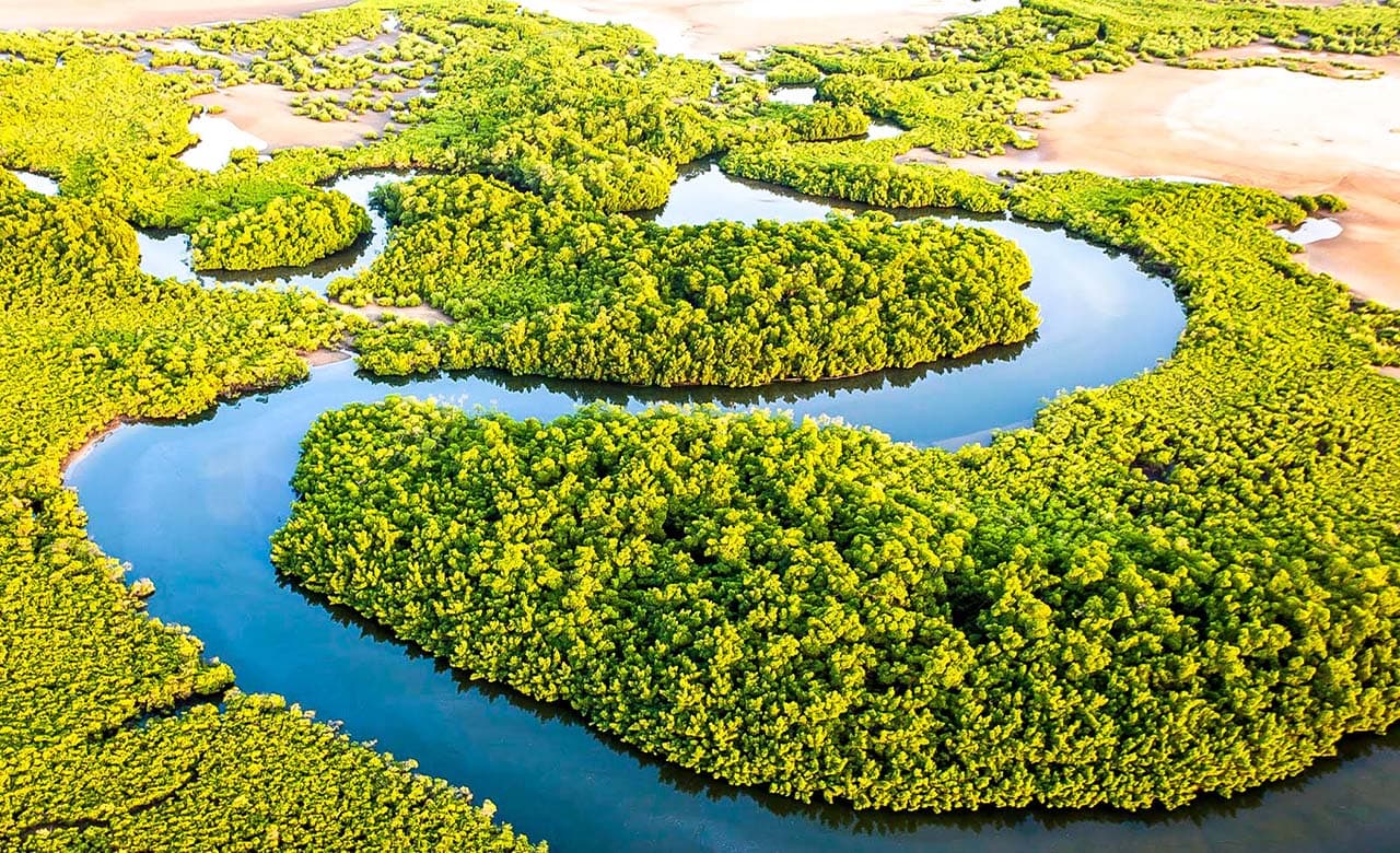 Sine Saloum